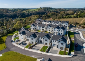 innishannon aerial view